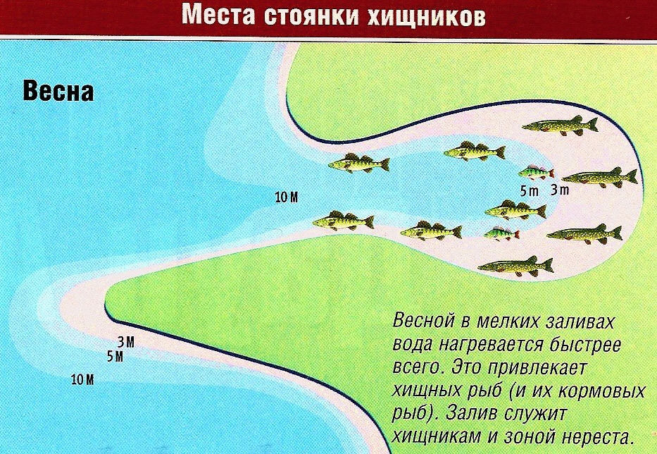 Тактика ловли