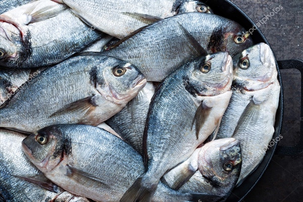 Морской 