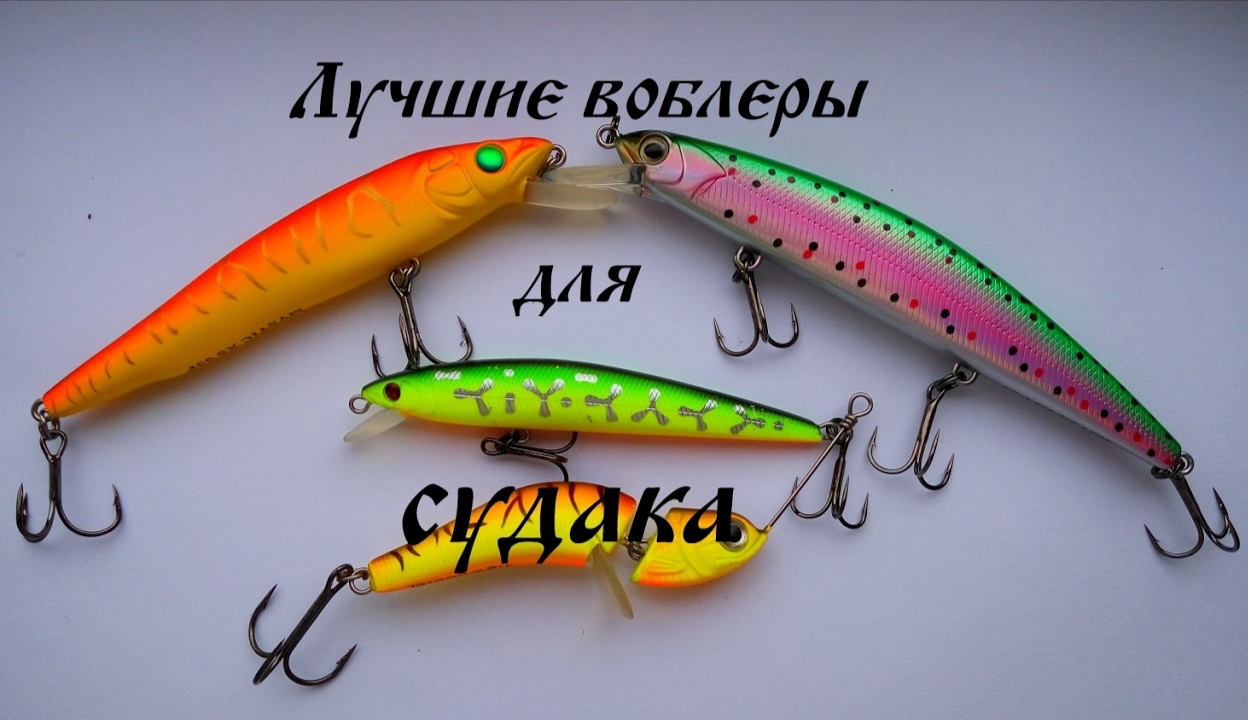 IMG_20200121_185815.jpg