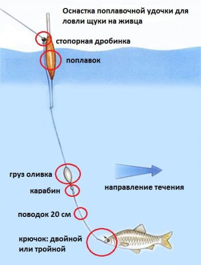 Оснастка живцовки