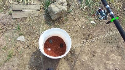 Прикормка в ведре