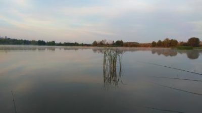 Утро на водоеме