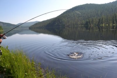 Рыбалка