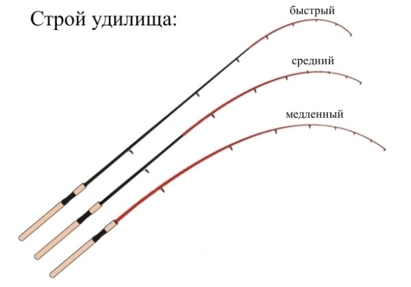 Строй спиннинга