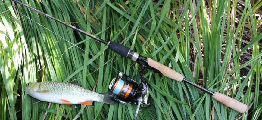 Kosadaka Starlight 210UL