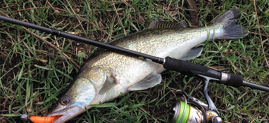 Lucky John Anira Micro Jig 662ULF