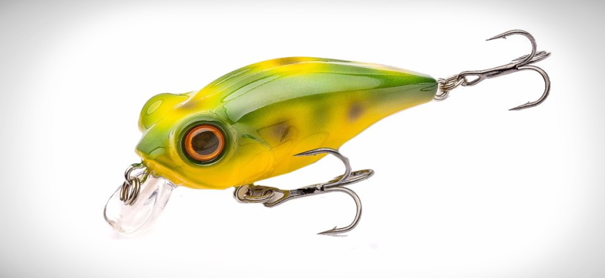 Owner Cultiva Bug Eye