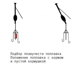 Ловля толстолобика