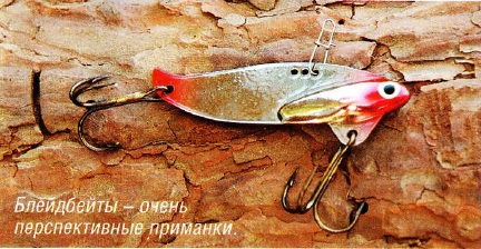 Судак и железо