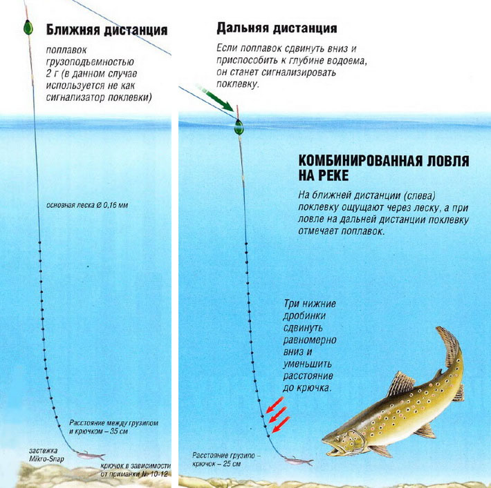 Методы ловли форели в реке Методы ловли форели в реке