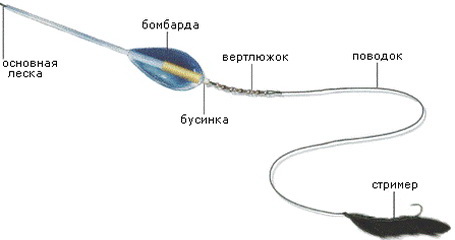 Применение сбирулино для ловли чехони