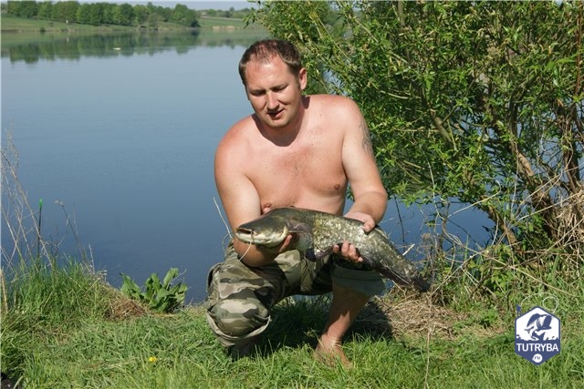 Рыбак поймал сома