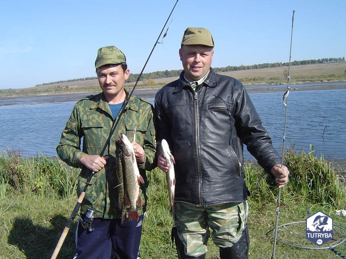 Ловля щуки в Курской области