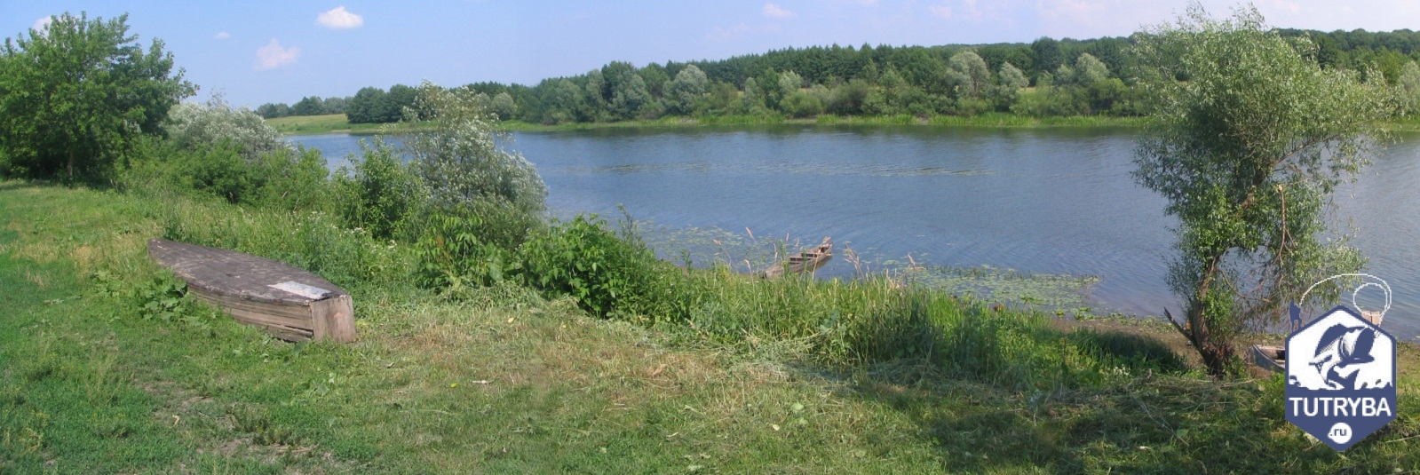 Река Сейм в Курской области