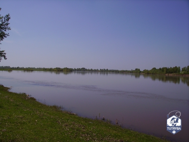 Река Чулым