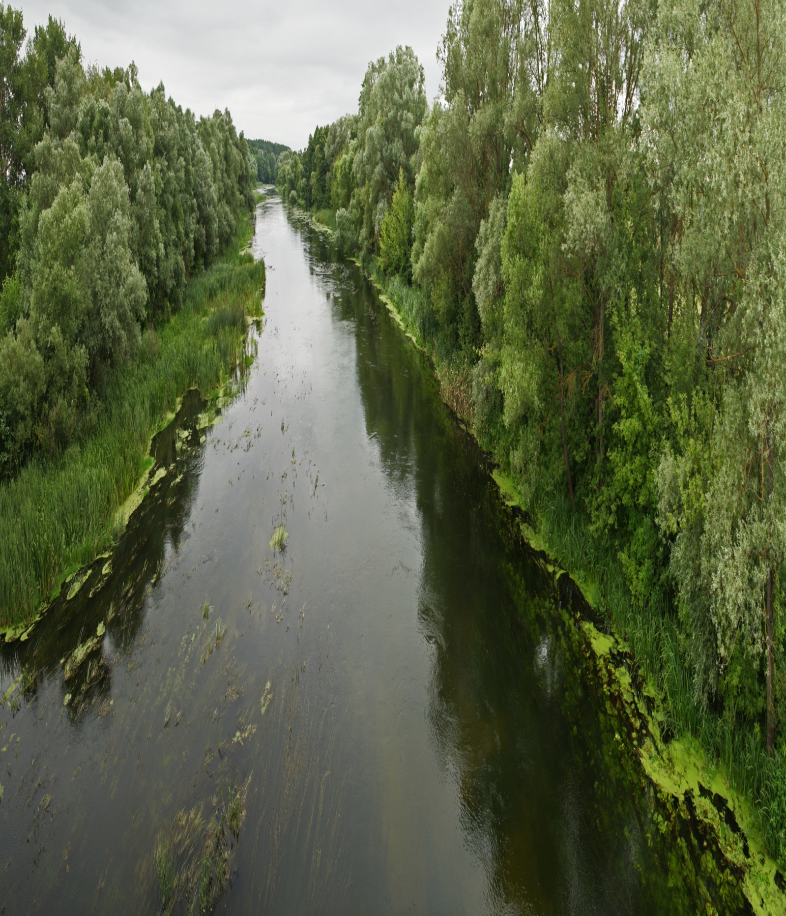 Река Оскол