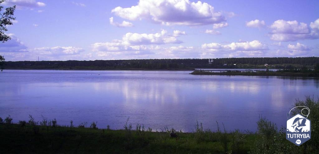 Река Обь