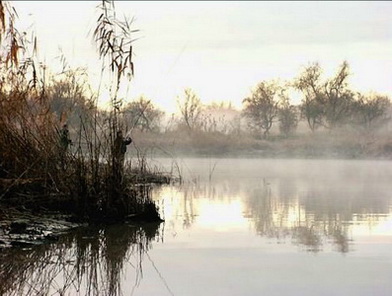 рыбалка удочкой осень на озере
