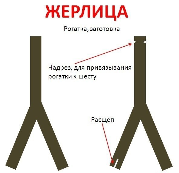 Жерлица на щуку летом