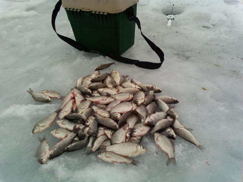 Мормышка на карася