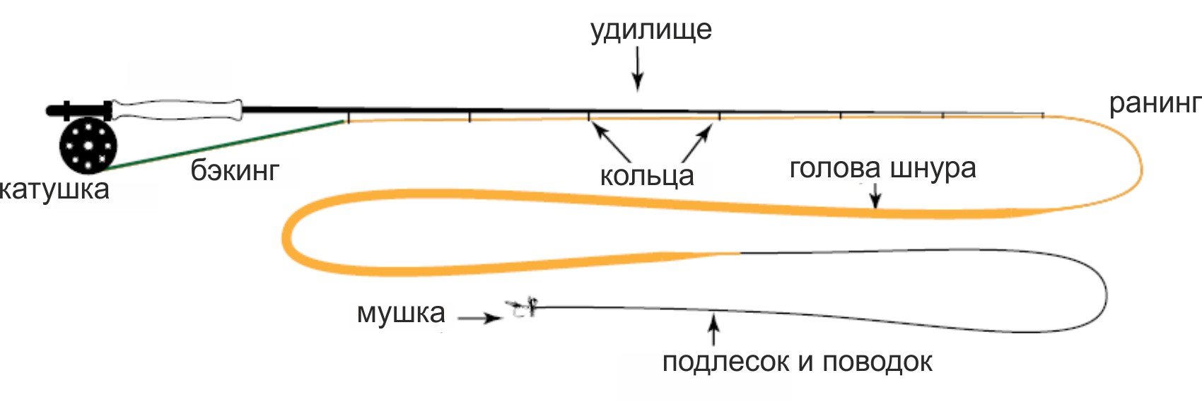 Нахлыстовая снасть для начинающих