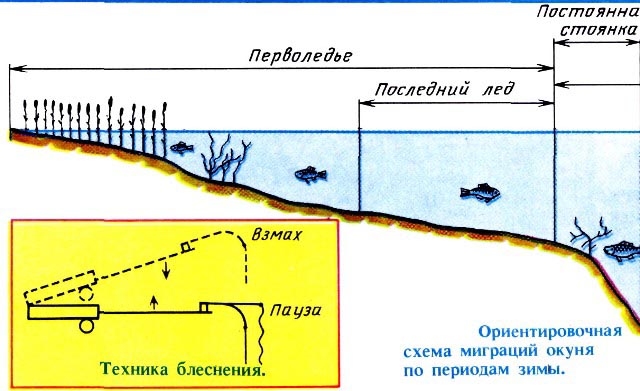 Выбор места ловли окуня зимой