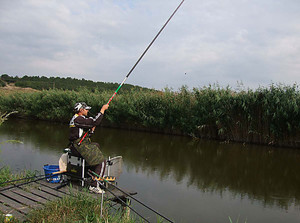 Рыба чебак