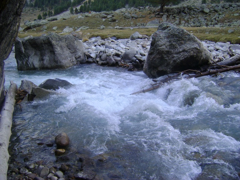 Рыбы кубани