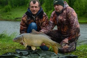 Водоемы белгородской области ловля щуки