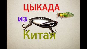 Блесна ЦИКАДА из Китая Aliexpress