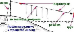 Донка резинка на судака