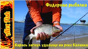 На что клюет карась