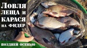 Как ловить карася с берега