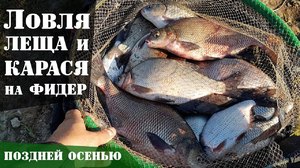 Ловля карася осенью