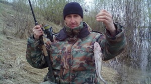 Описание ловли налима весной
