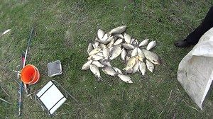 Особенности ловли рыбы без удочки
