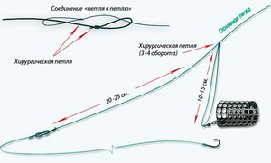 Особенности петли гарднера
