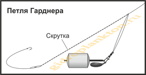 Плюсы и минусы петли гарднера