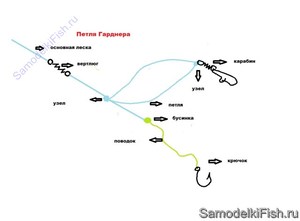 Подробности описание петли гарднера