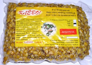 Как помогает кукуруза ловить рыбу