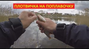 Прикорм для плотвы