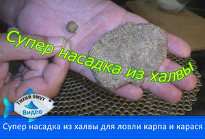  Прикормка для карася