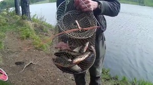 Как рыбачить на карася