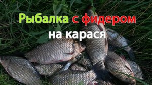 Как сделать прикормку