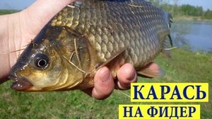 Сезонная ловля карасей