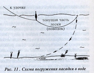 Виды оснастки для  ловли плотвы
