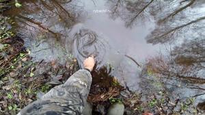 Ловля налима осенью и ловля налима поздней осенью на донку (закидушку) с берега отличается в зависимости от погоды способной заморозить лёд