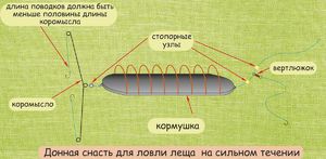Ловля рыбы на донку