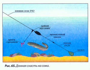 Ловля сома на донки