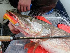 Рыбалка на Рыбинском водохранилище